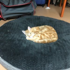 Meet your Posher, Jen